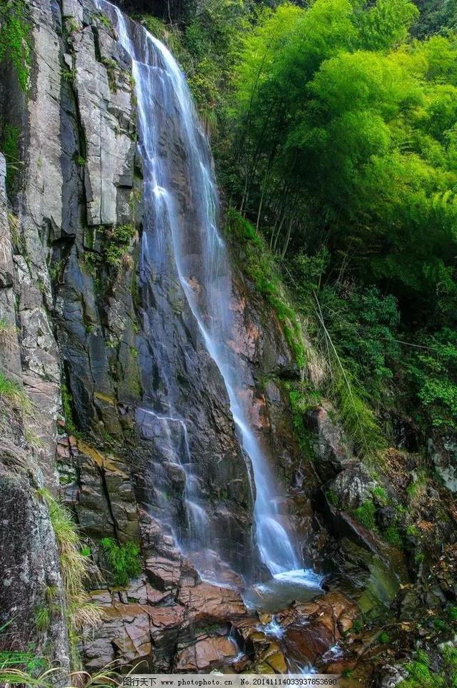 矿工打地鼠